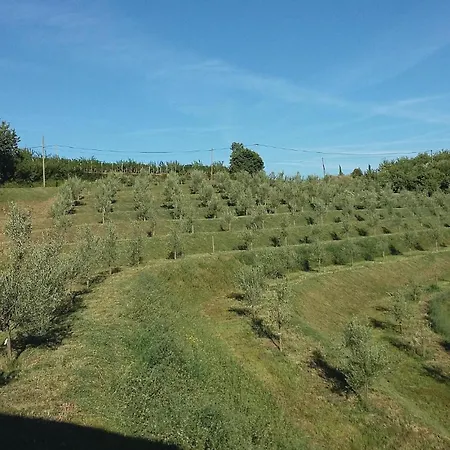 Lovely In With Sauna