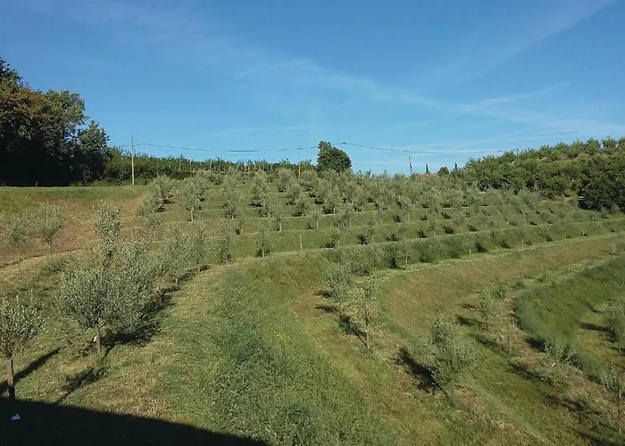 Lovely In With Sauna